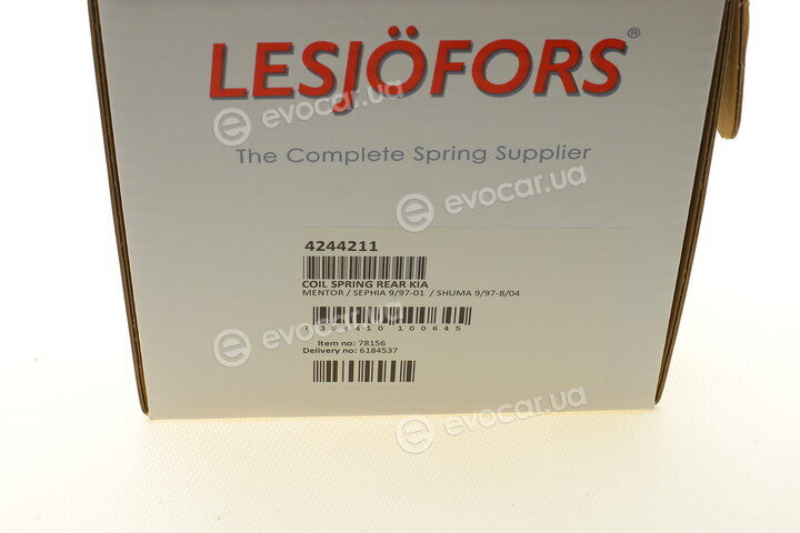 Lesjofors 4244211