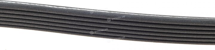 Dayco 6PK2100