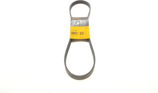 Continental 6PK1020