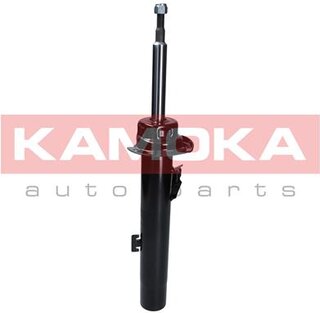 Kamoka 2000295