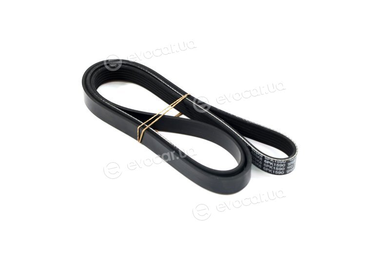 Dayco 6PK1590