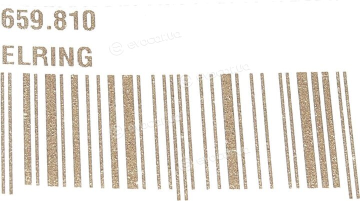 Elring 659.810