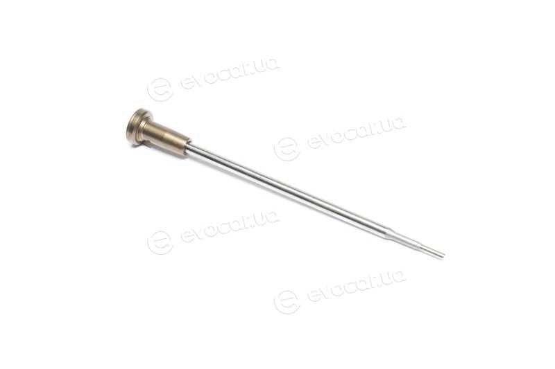 Bosch F 00V C01 310