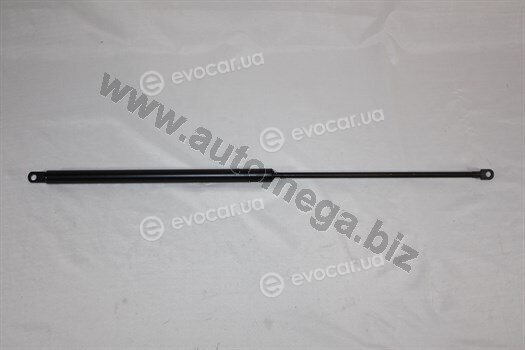 Automega / Dello 308270552893