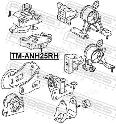 Febest TM-ANH25RH