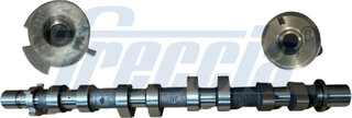 Freccia CM05-2419
