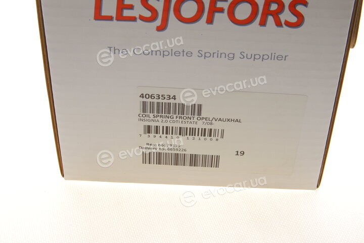 Lesjofors 4063534