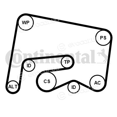 Continental 6PK2155K1