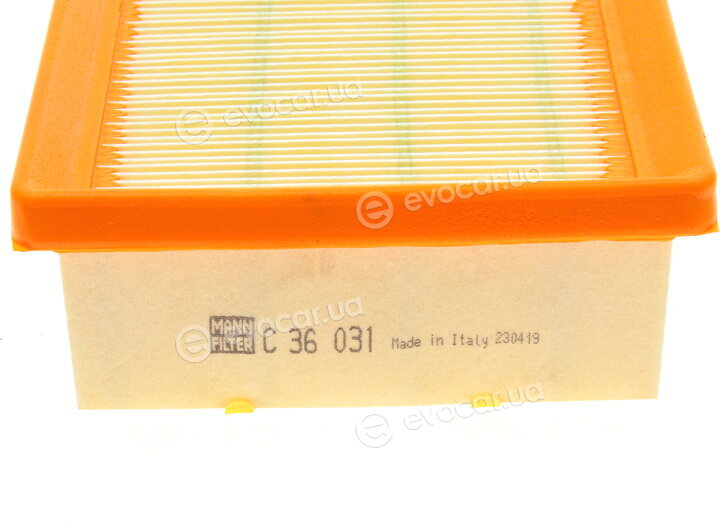 Mann C 36 031