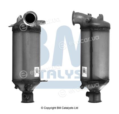 BM Catalysts BM11033P