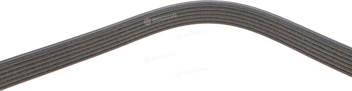 Dayco 6DPK1188