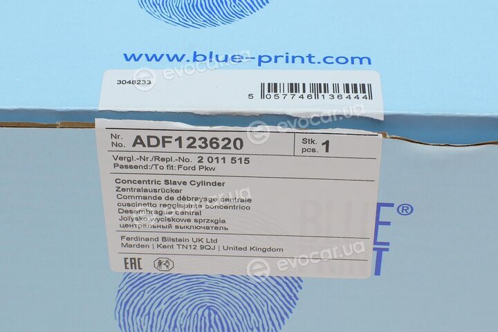 Blue Print ADF123620