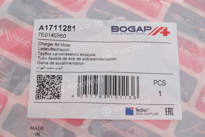 Bogap A1711281
