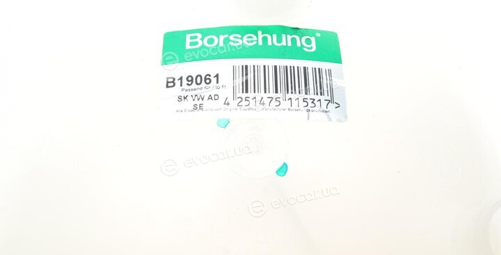 Borsehung B19061