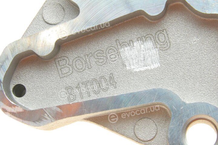 Borsehung B16299