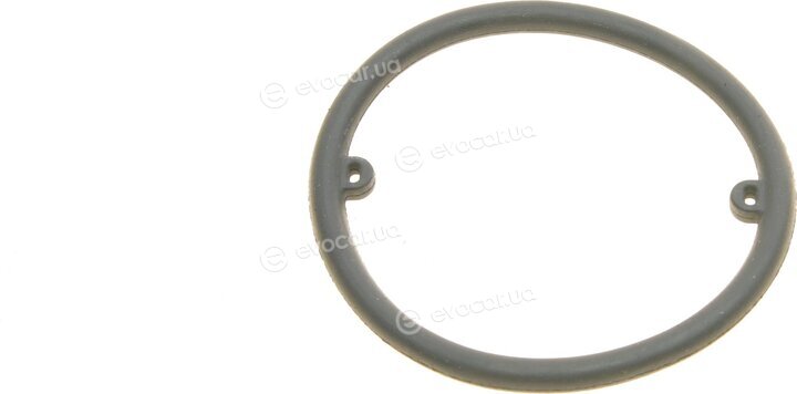 Elring 720.420