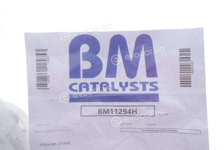 BM Catalysts BM11294H