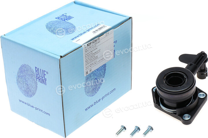 Blue Print ADF123615
