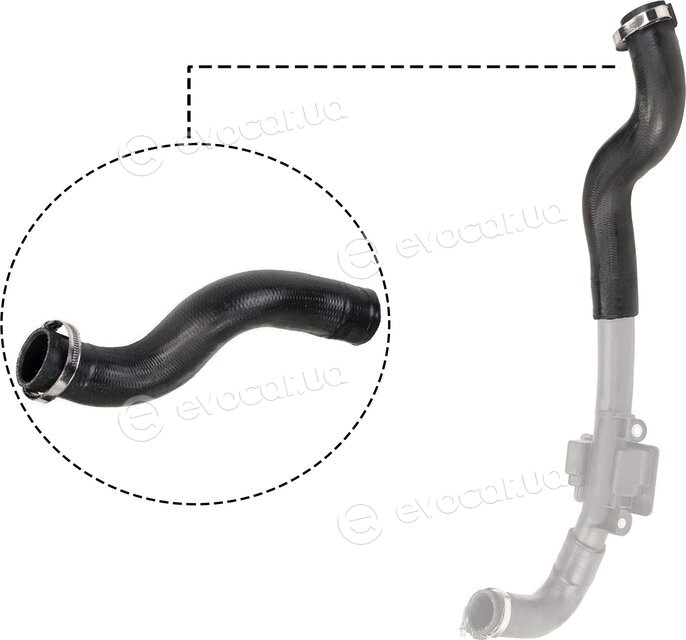 Rapro R12501
