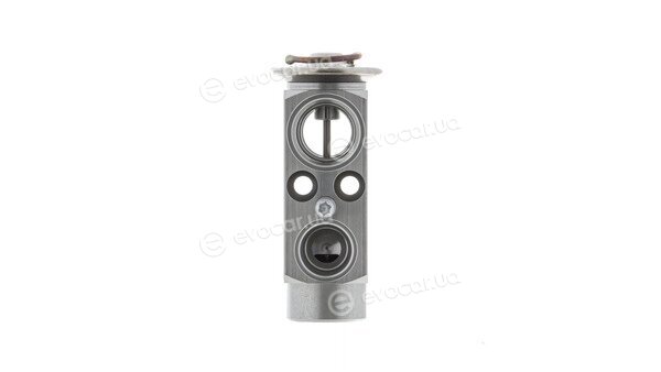 Mahle AVE 113 000P