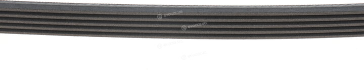 Continental 5PK1310