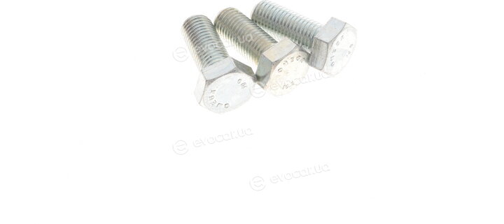 Solgy 203005