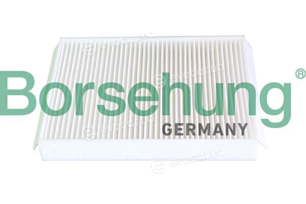 Borsehung B12294