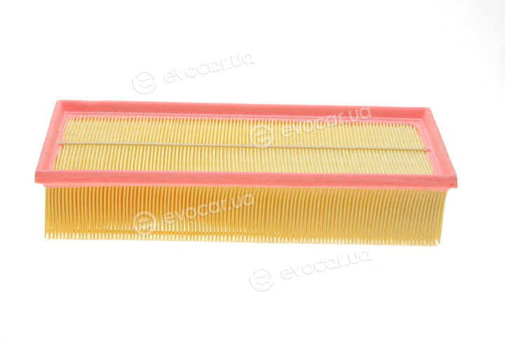 Solgy 103066