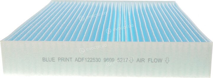 Blue Print ADF122530