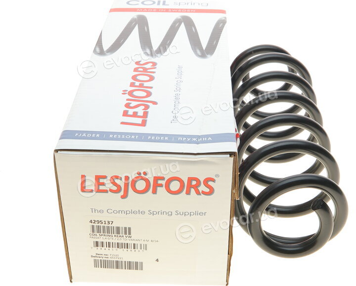 Lesjofors 4295137
