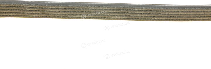 Dayco 5PK855S