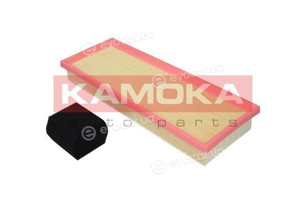 Kamoka F239701