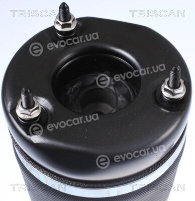 Triscan 8720 23101