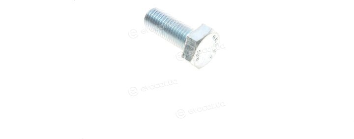 Solgy 203084