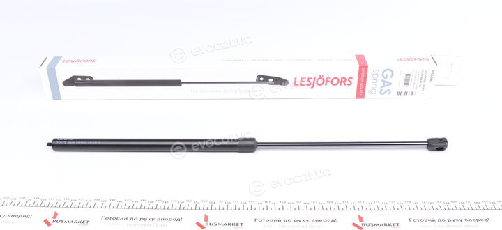 Lesjofors 8056806