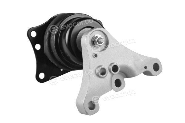 Tedgum TED91640