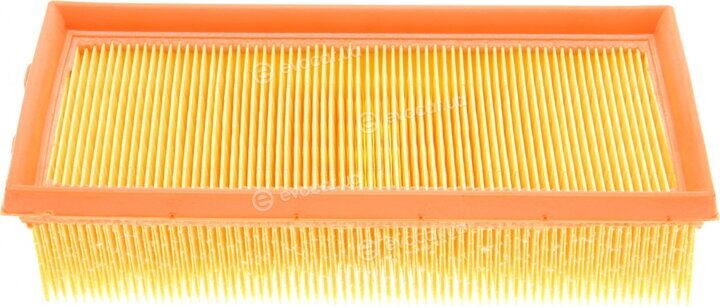 Mann C 2561