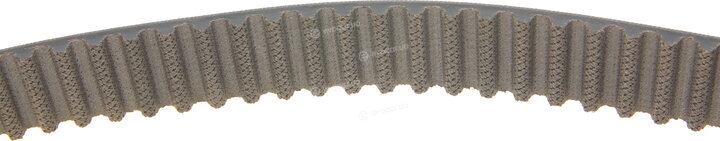 Gates KP55569XS-4