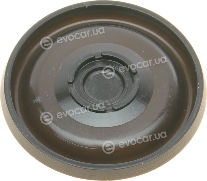 Solgy 124004