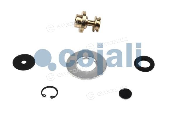 Cojali 6012248