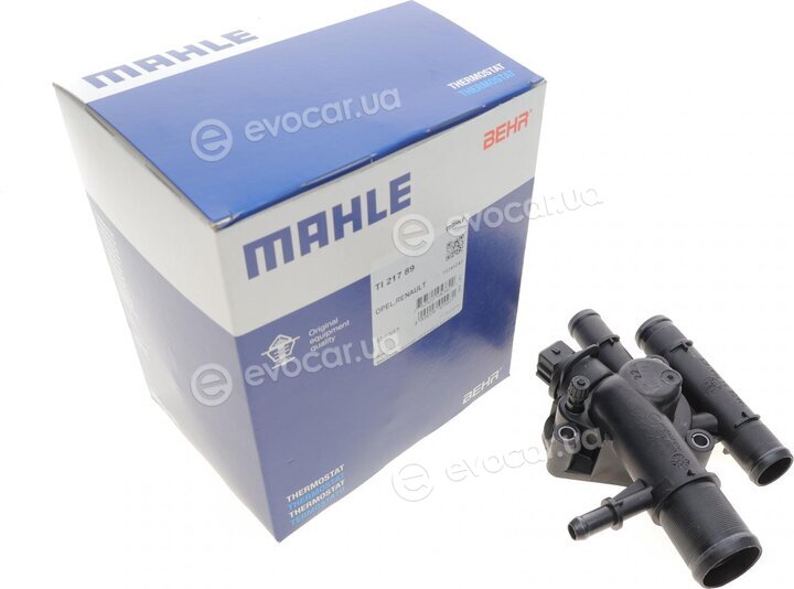 Mahle TI 217 89