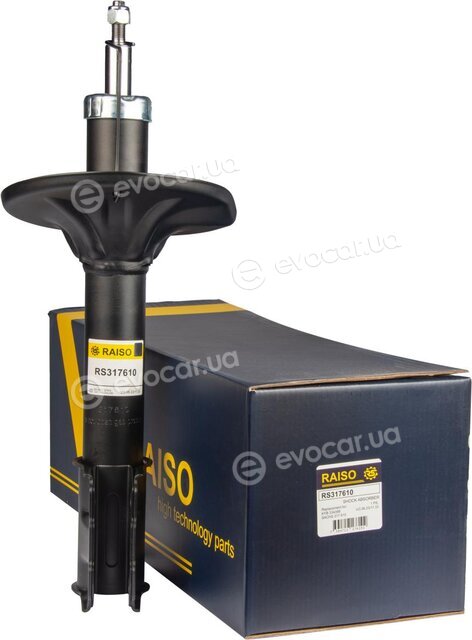 Raiso RS317610