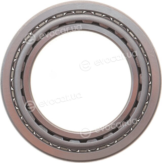 Solgy 216333
