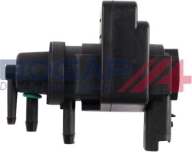 Bogap P6112107