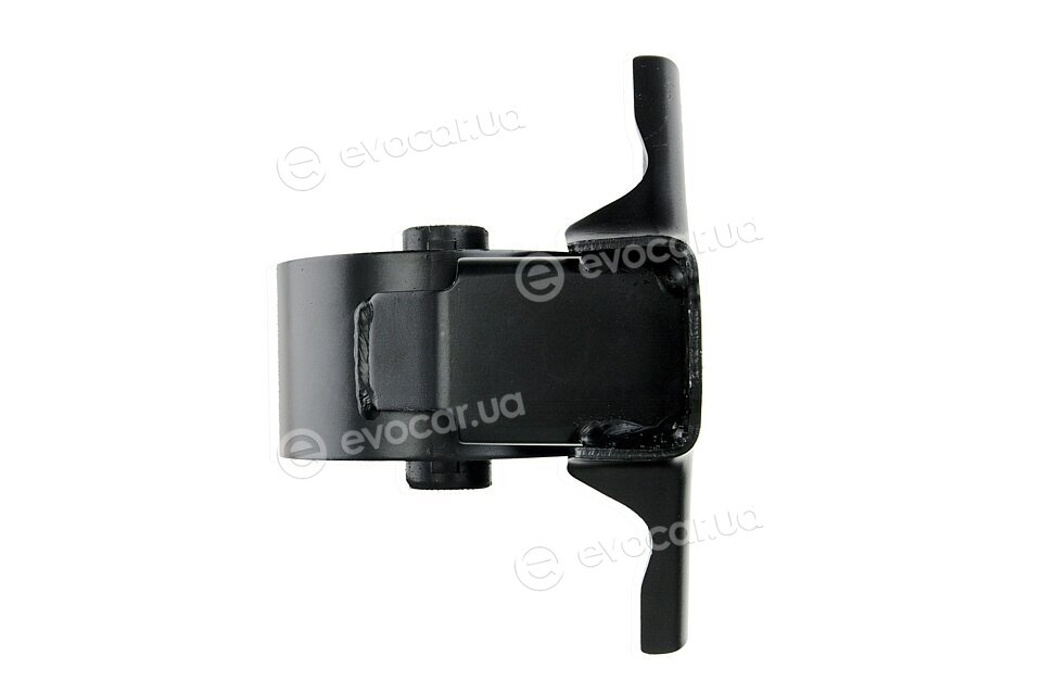 NTY ZPS-HY-509