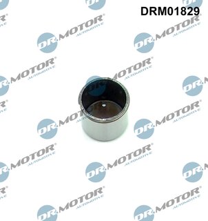 Dr. Motor DRM01829