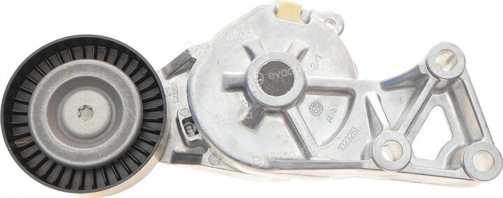 SKF VKM 31019