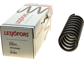 Lesjofors 4256865