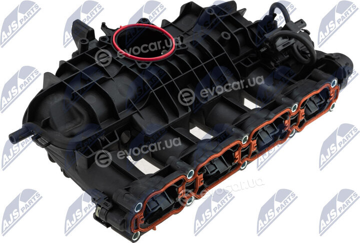 NTY BKS-VW-021