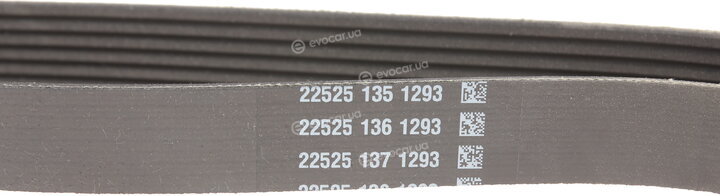 Dayco 6PK1004K